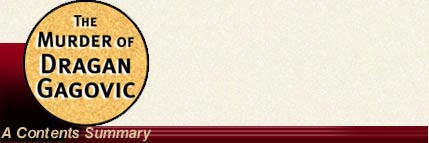 w1.jpg (11254 bytes)